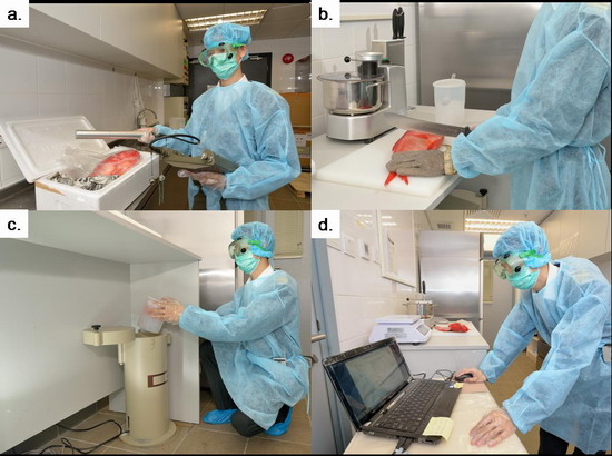 (a) Detection of radioactivity level by hand-held device. (b) - (d) Sample preparation and detection of activity of differnet radionuclides in foodstuffs with Contamination Monitoring System.