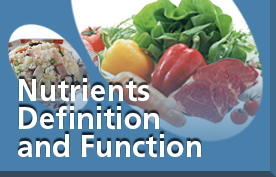 Nutrients Definition and Function