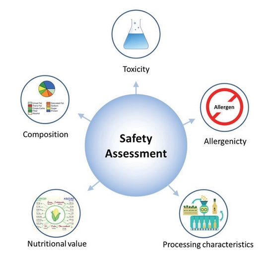 Figure 2. The safety assessment of GM food includes analyses of the transgenic proteins and their metabolites for potential toxic and allergic effects, compositional analyses and the evaluation of potential changes in the nutritional value and processing characteristics of the GM food.