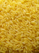 黃金米