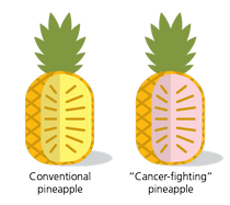 Figure 4: Pineapple