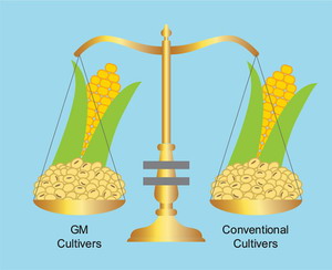 Safety assessments of both GM food crop and GM feed crop are based on the concept of "substantial equivalence"