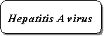 Hepatitis A virus