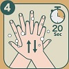 Rub hands thoroughly for 20 seconds, including the forearms, wrists, palms, back of hands, fingers and under the fingernails