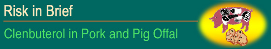 Risk in Brief - Clenbuterol in Pork and Pig Offal
