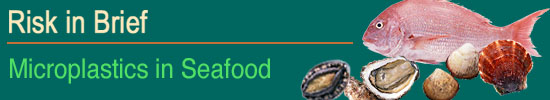 Risk in Brief - Microplastics in Seafood