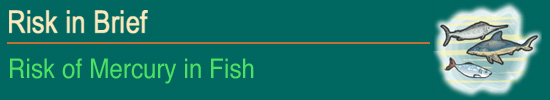 Risk in Brief - Risk of Mercury in Fish