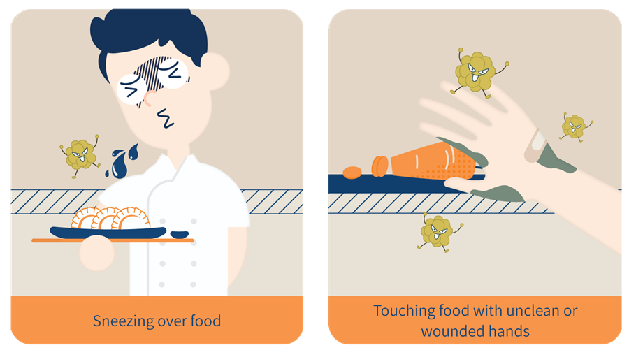 Biological Hazards In The Kitchen