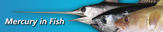 Mercury in Fish