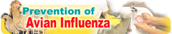 Prevention of Avian Influenza