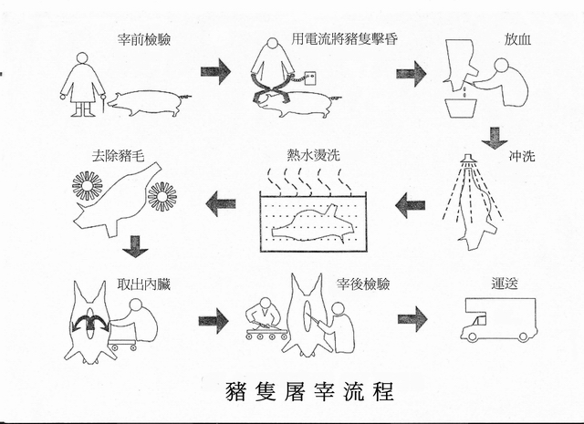 猪只屠宰流程