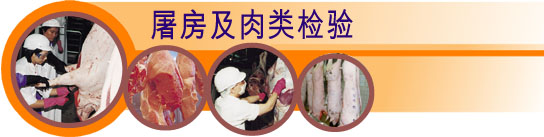 屠房及肉类检验