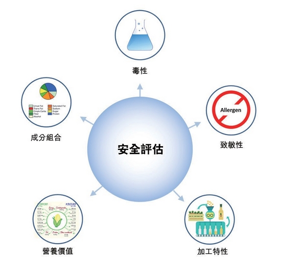 图2　基因改造食物的安全评估项目，包括转基因蛋白及其代谢物的潜在毒性和致敏影响分析、基因改造食物的成分组合分析，以及基因改造食物在营养价值和加工特性方面转变的评估。 