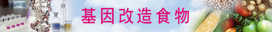 基因改造食物