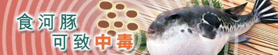 食河豚可致中毒