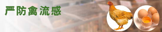 严防禽流感