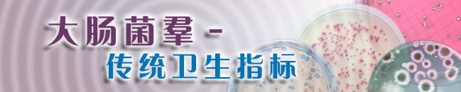 大肠菌羣 – 传统卫生指标