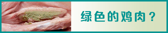 绿色的鸡肉？