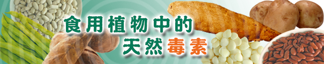 食用植物中的天然毒素