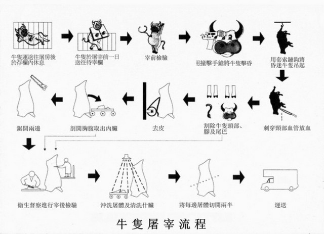 牛隻屠宰流程