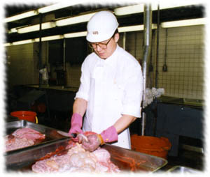 男子進行肉類檢驗的圖片