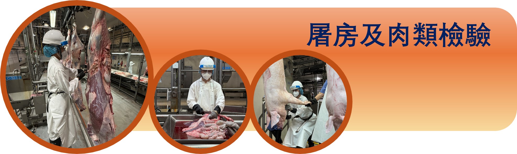 屠房及肉類檢驗