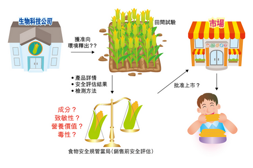 基因改造食物批准上市流程圖