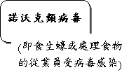 諾沃克類病毒