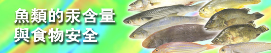 魚類的汞含量與食物安全