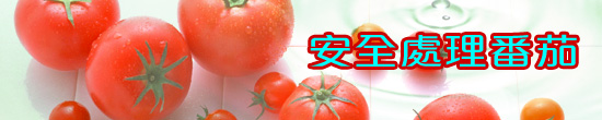 安全處理番茄