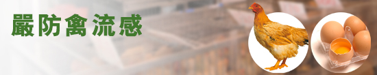 嚴防禽流感